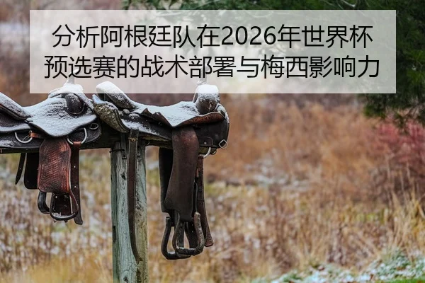 分析阿根廷队在2026年世界杯预选赛的战术部署与梅西影响力