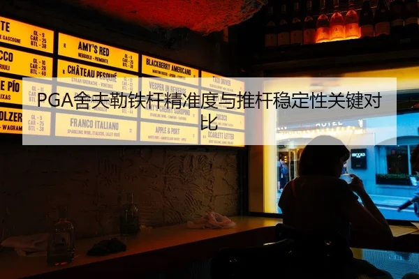 she-fu-lei-tie-gan-jing-zhun-du-yu-tui-gan-wen-ding-xing-guan-jian-dui-bi-2-350.jpg
