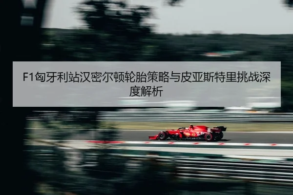 xiong-ya-li-zhan-han-mi-er-dun-lun-tai-ce-lve-yu-pi-ya-si-te-li-tiao-zhan-shen-du-jie-xi-2-278.jpg