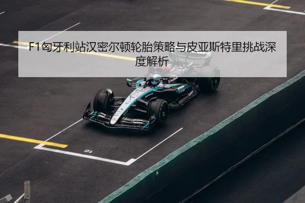 xiong-ya-li-zhan-han-mi-er-dun-lun-tai-ce-lve-yu-pi-ya-si-te-li-tiao-zhan-shen-du-jie-xi-3-291.jpg