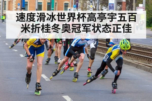 速度滑冰世界杯高亭宇五百米折桂冬奥冠军状态正佳